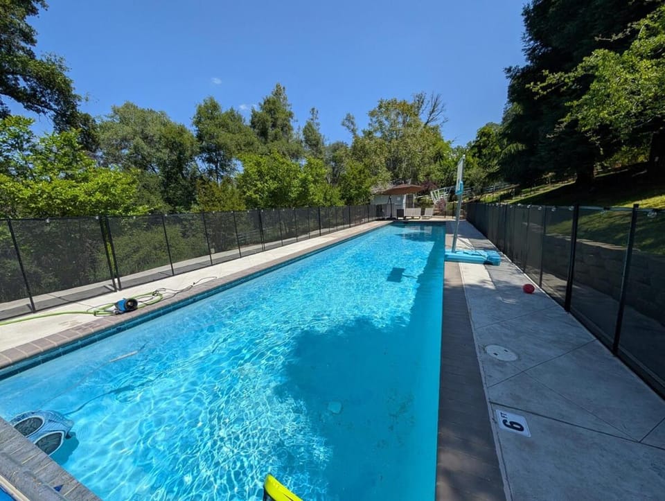 Pool view, Swimming pool, sunbed