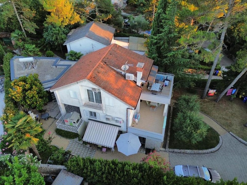 Day, Neighbourhood, Bird's eye view, Garden view