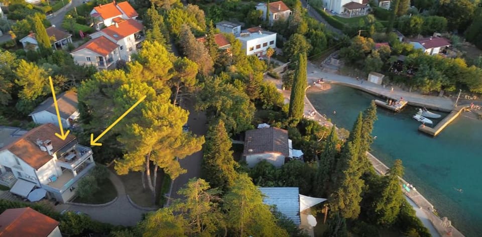 Neighbourhood, Natural landscape, Bird's eye view, Street view
