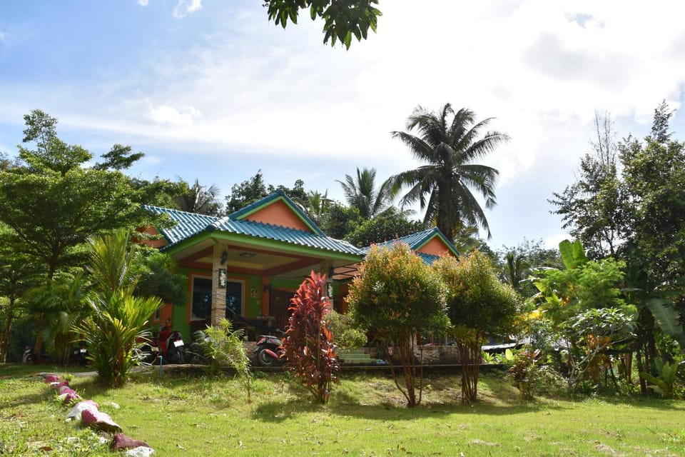 Property building, Day