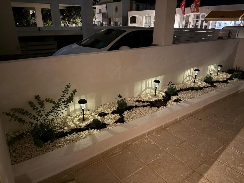 Night, Garden view