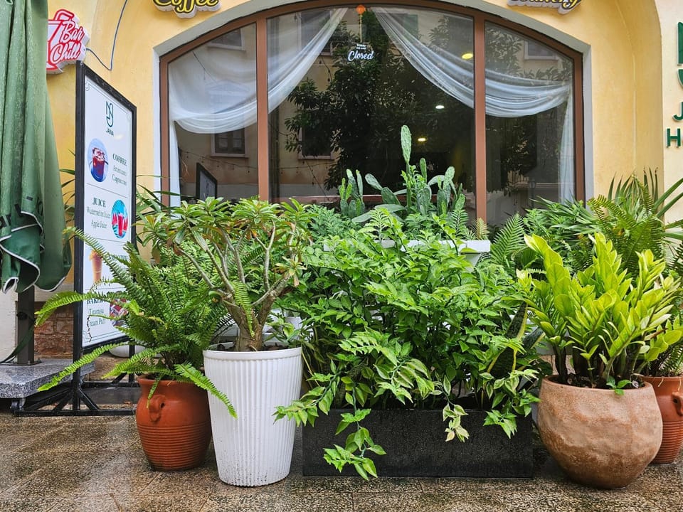 La Maison De Dino Hotels & Apartments Sunset Town Phu Quoc Hotel in Phu Quoc