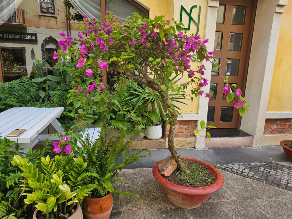La Maison De Dino Hotels & Apartments Sunset Town Phu Quoc Hotel in Phu Quoc