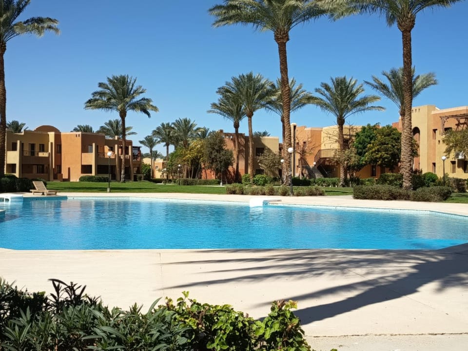 Garden, Garden view, Pool view, Swimming pool