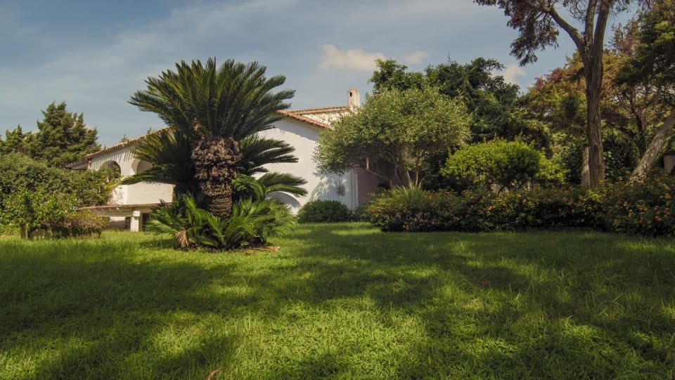 Property building, Garden view