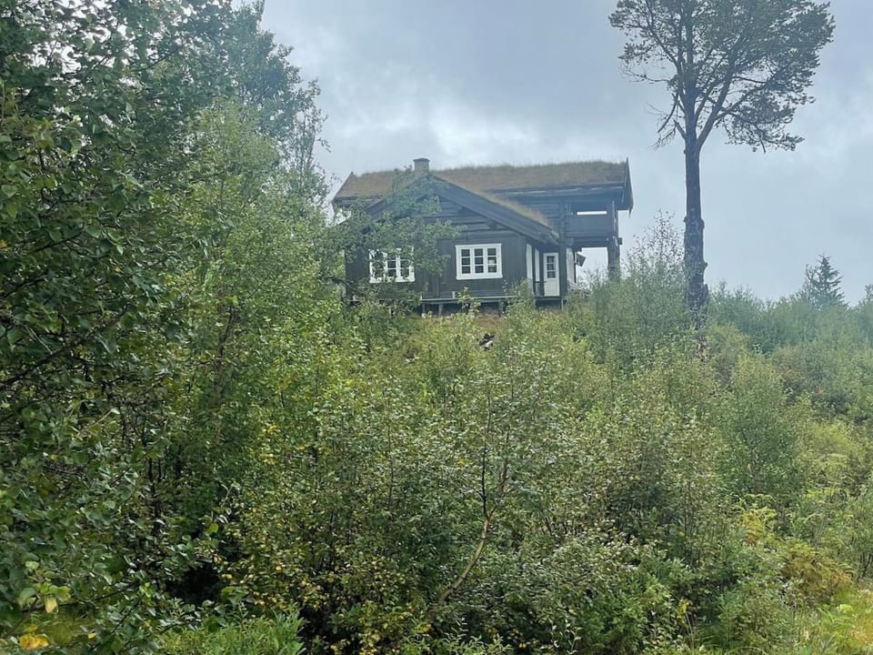 Great cabin with gorgeous mountain views Cabin in Viken, Norway