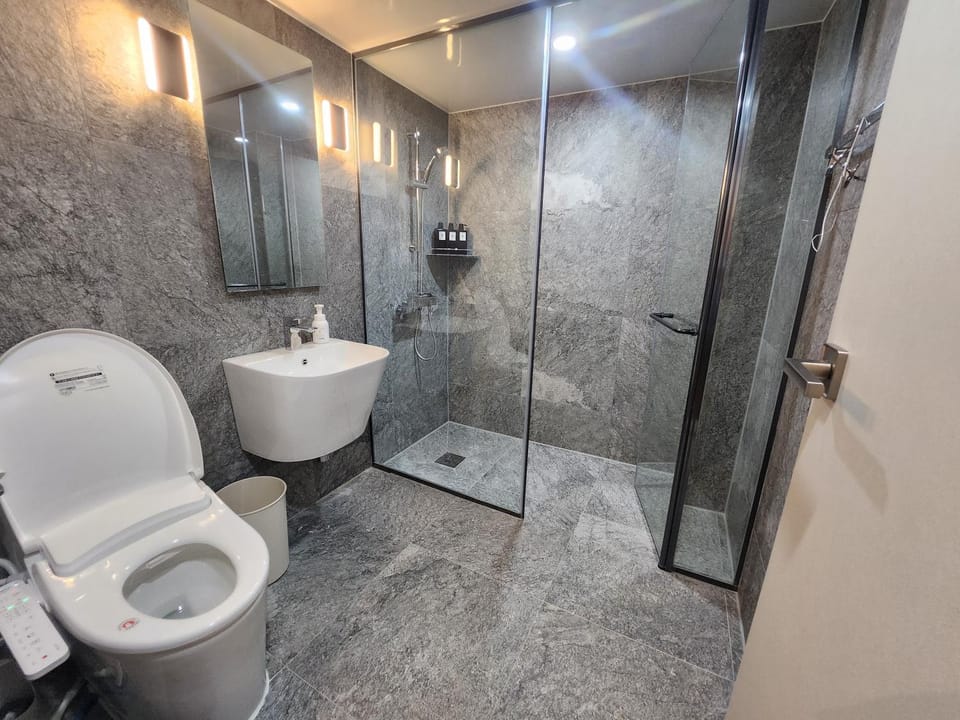 Shower, Toilet, Bathroom, bidet