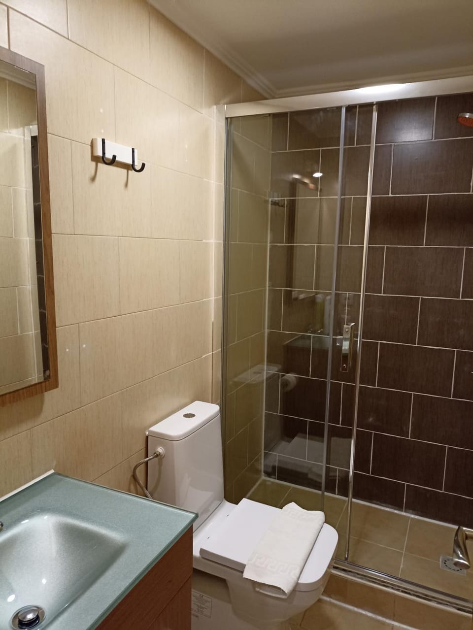 Shower, Toilet, Bathroom, towels