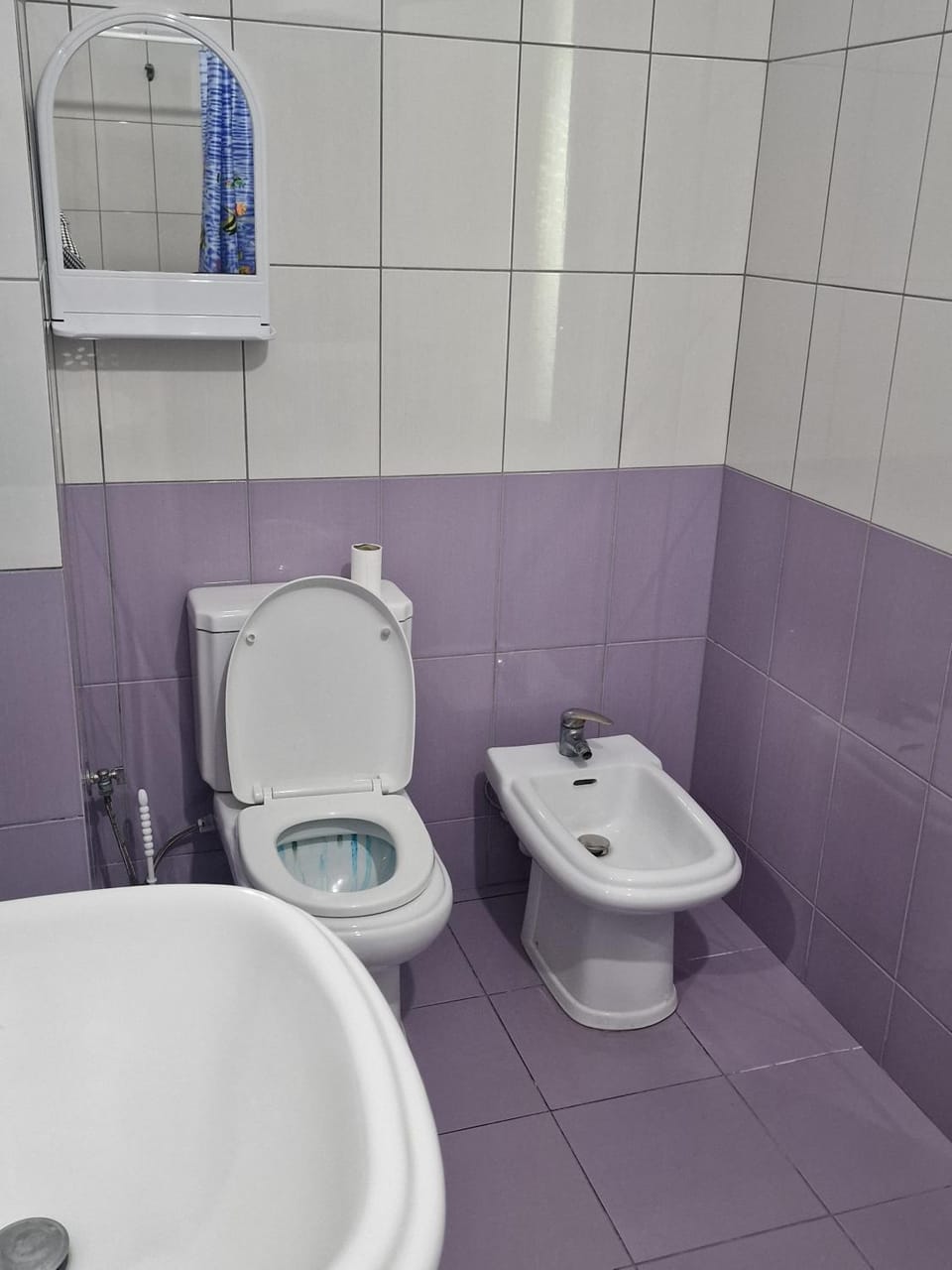Toilet, Bathroom, bidet
