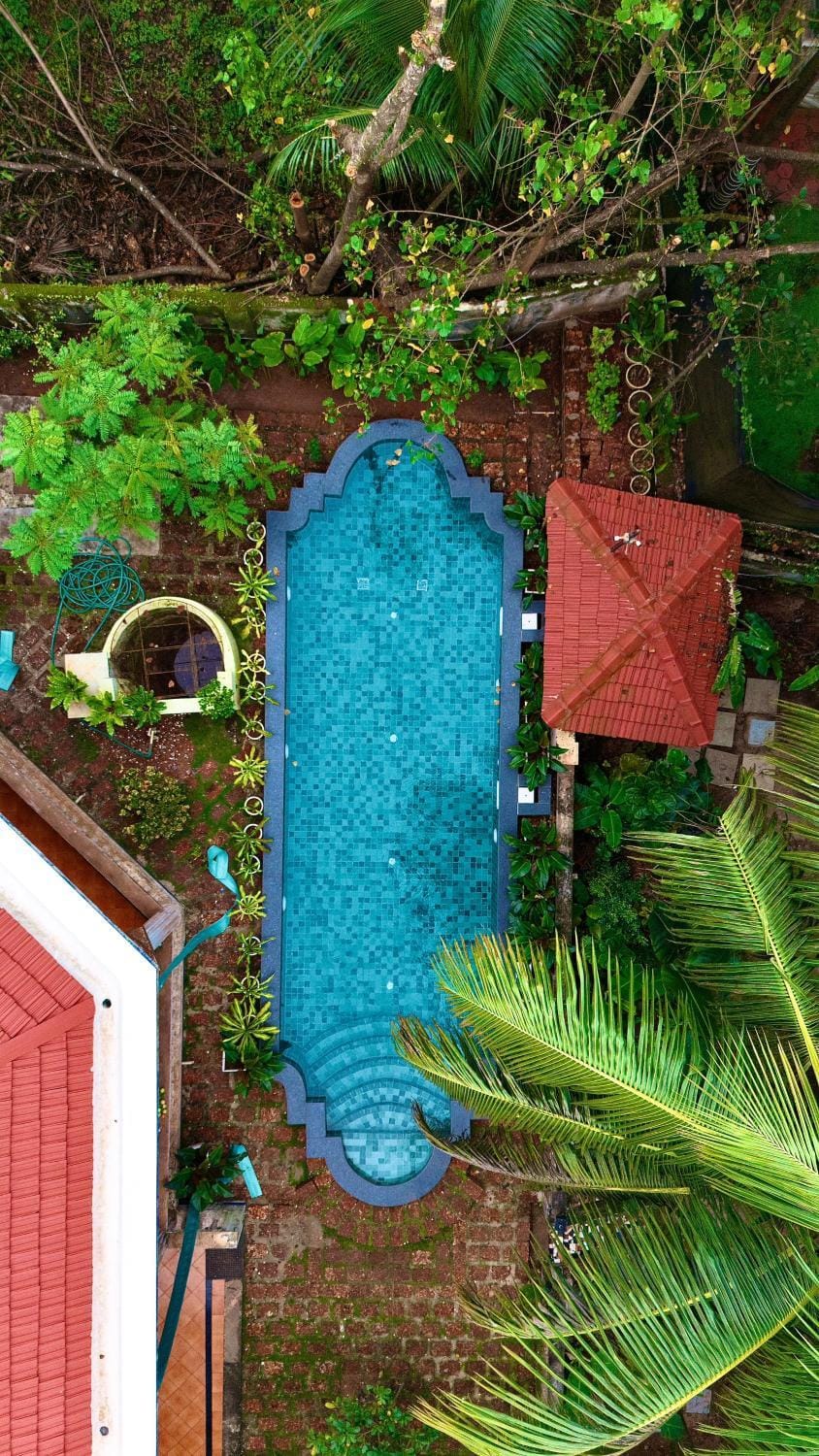 Day, Garden, Swimming pool