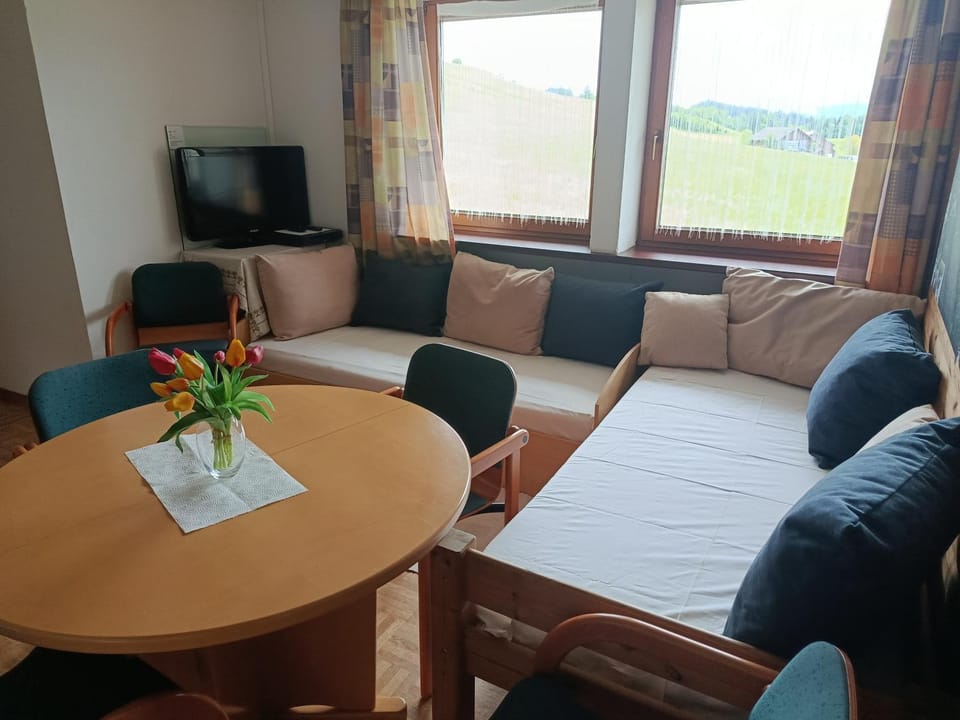 Communal lounge/ TV room, Living room, Seating area