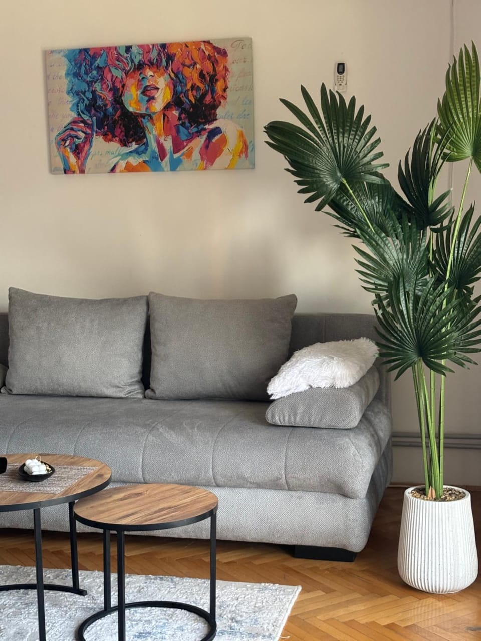 Comfort Corner Apartment in Skopje