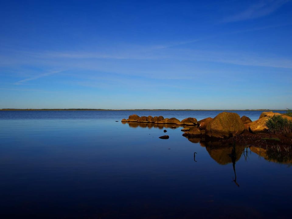 Lake view