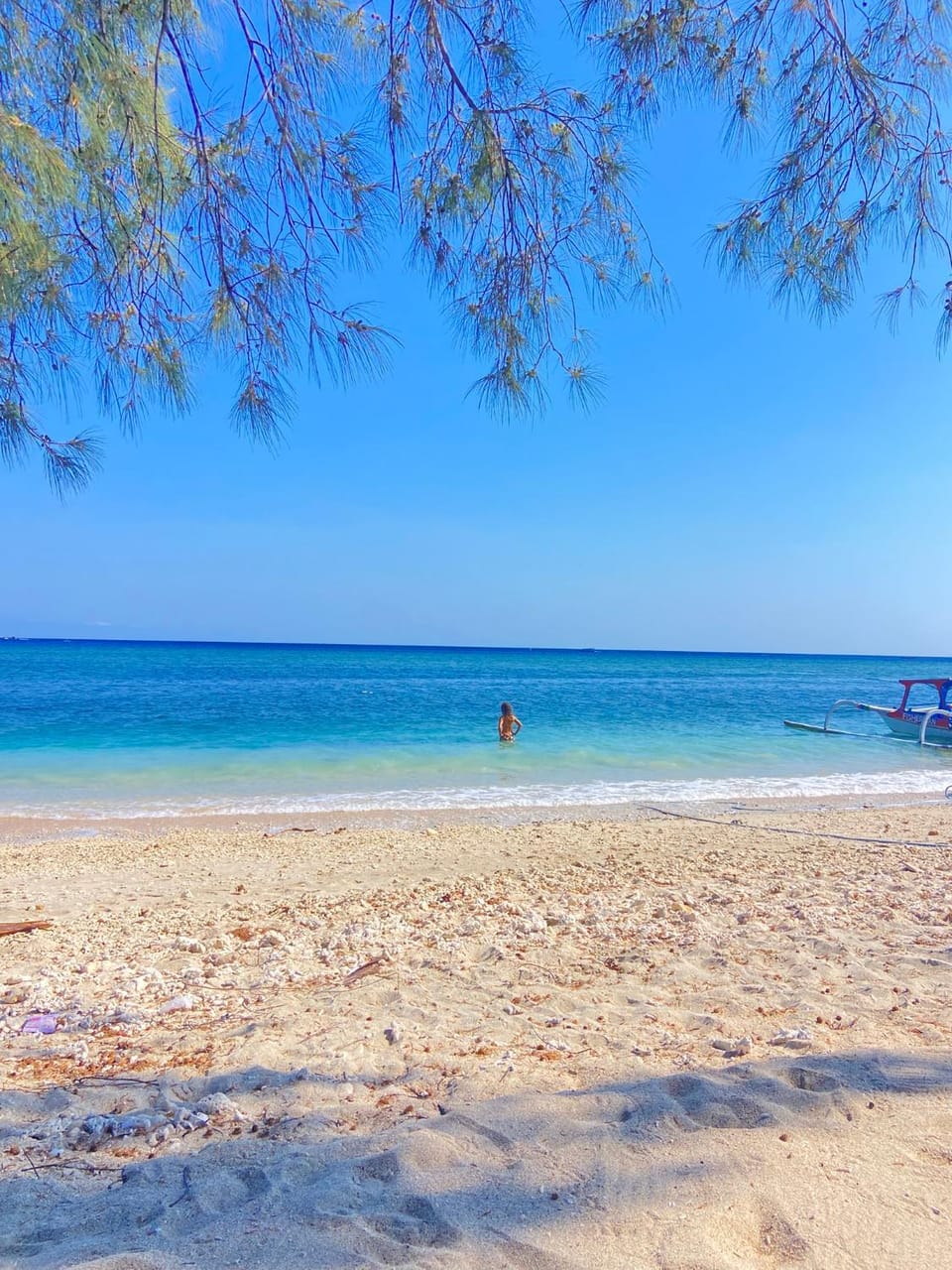 Four Elements Eco Dive Resort Resort in Pemenang