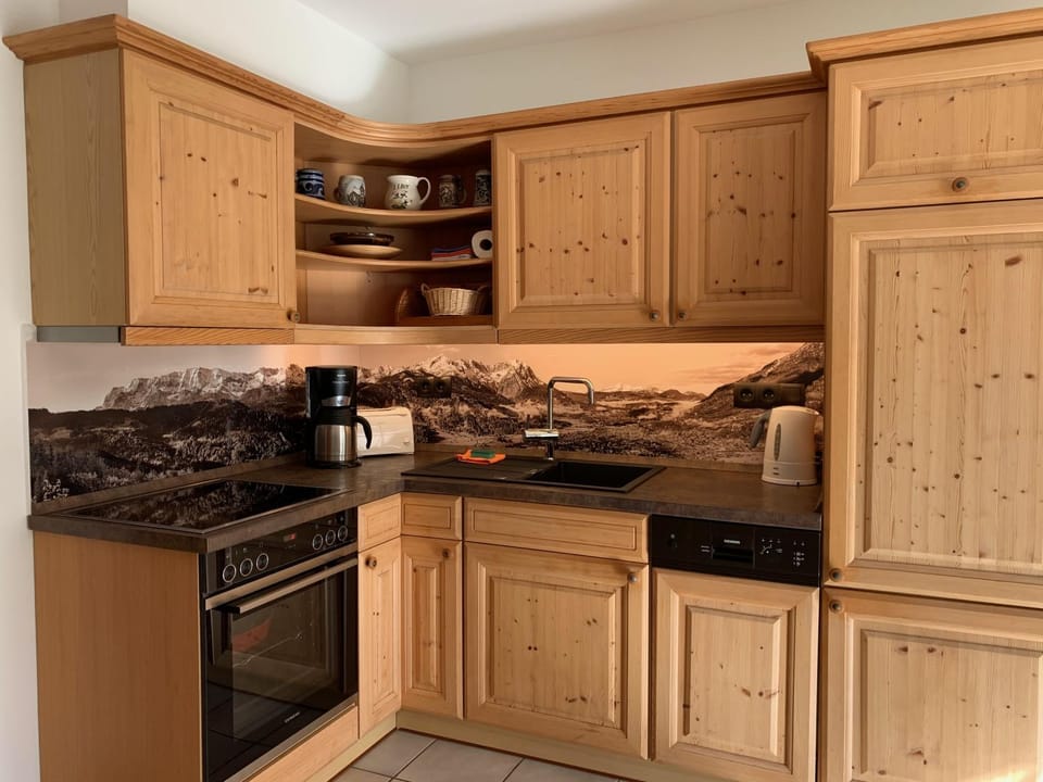 Kitchen or kitchenette, dishwasher, stove
