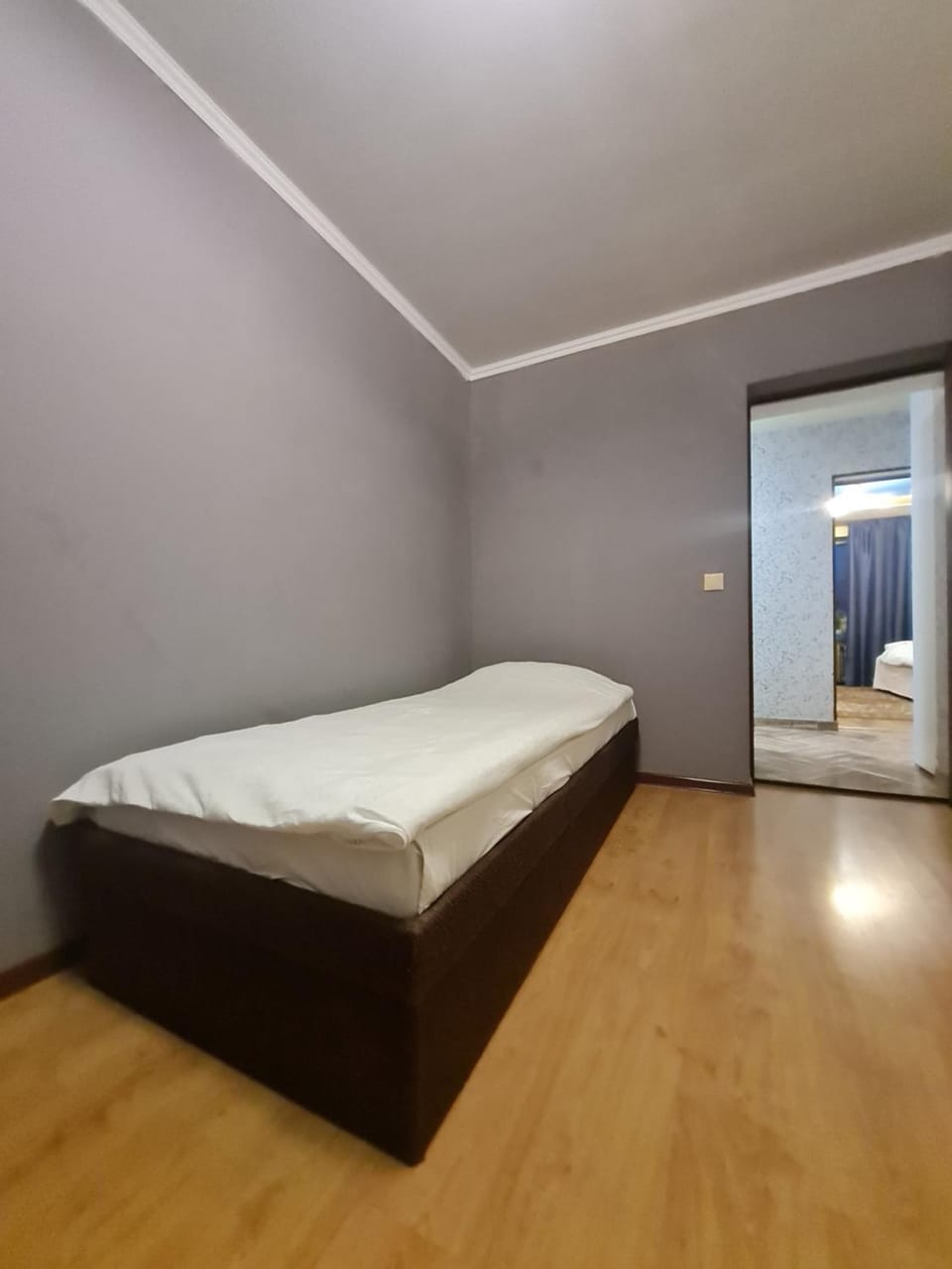 Великогабаритні апартаменти в Центрі Apartment in Ukraine