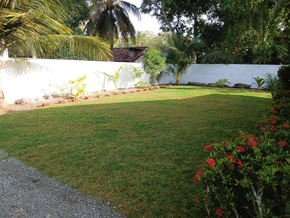 Natural landscape, Garden, Garden view