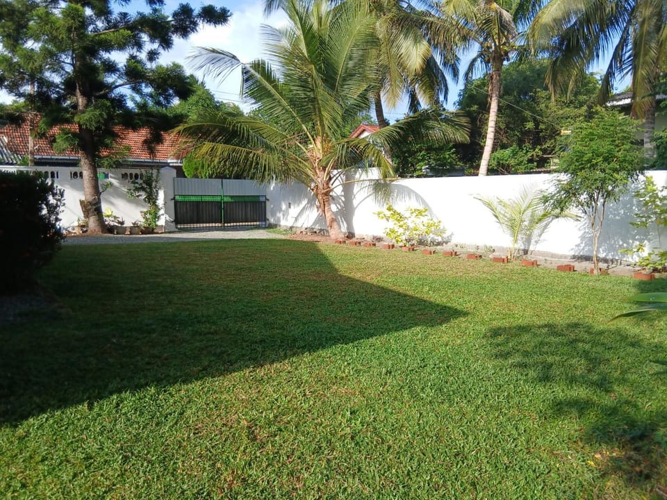Natural landscape, Garden, Garden view