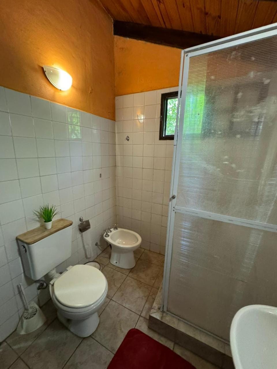 Shower, Toilet, Bathroom, bidet