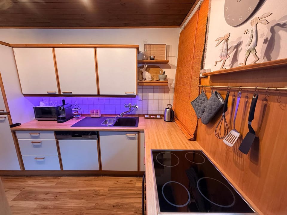 Kitchen or kitchenette, dishwasher, stove