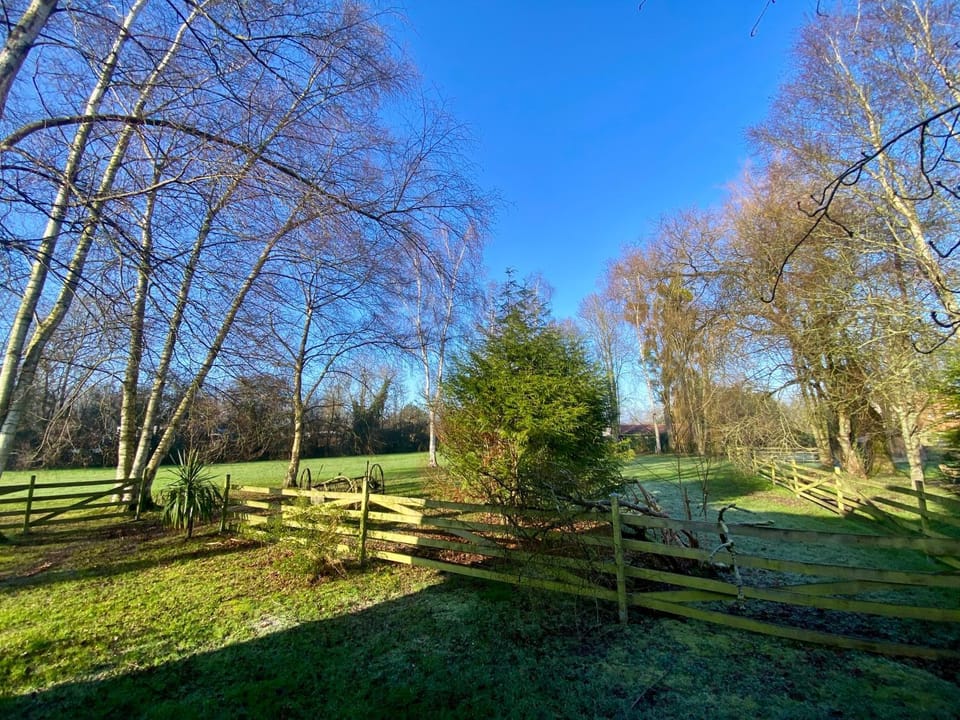 Garden, Garden view