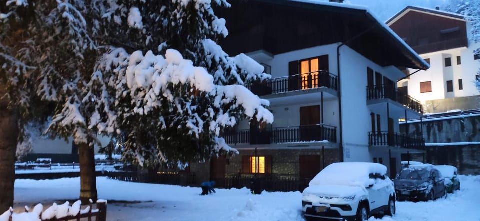 Property building, Winter, Garden