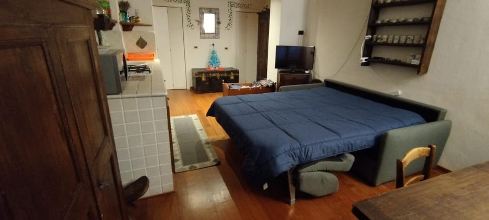 Bed, Kitchen or kitchenette, Living room