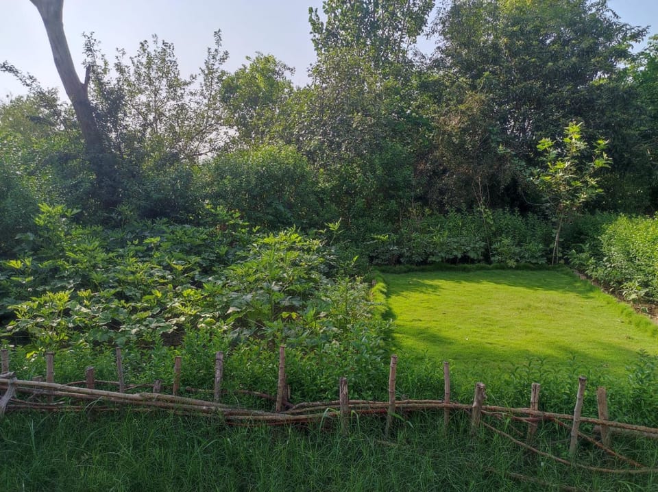 Garden view