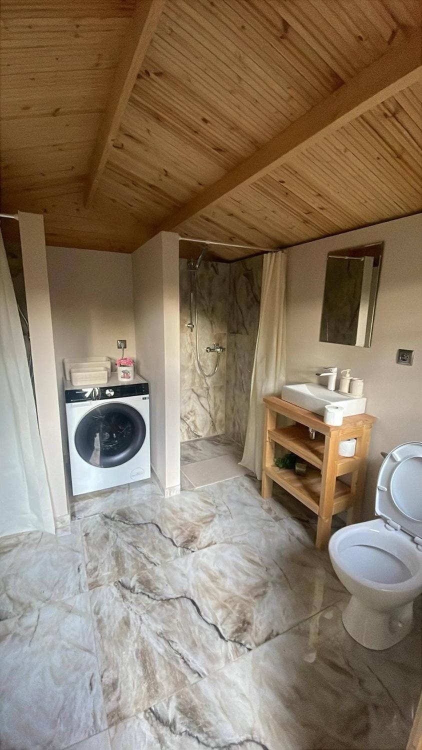 Shower, Toilet, Bathroom, washing machine