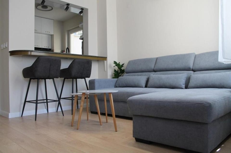 cosy apartment Apartment in Sofia