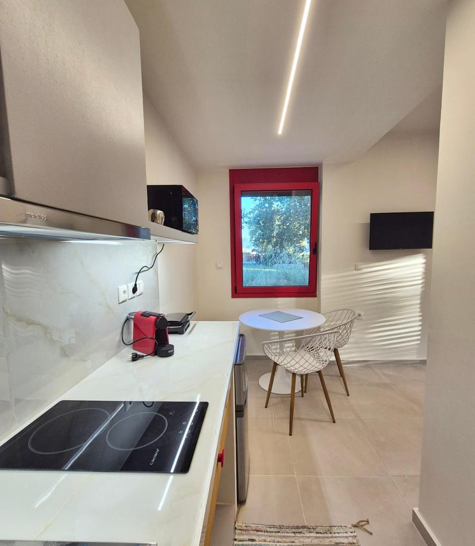 Kitchen or kitchenette, Dining area, stove