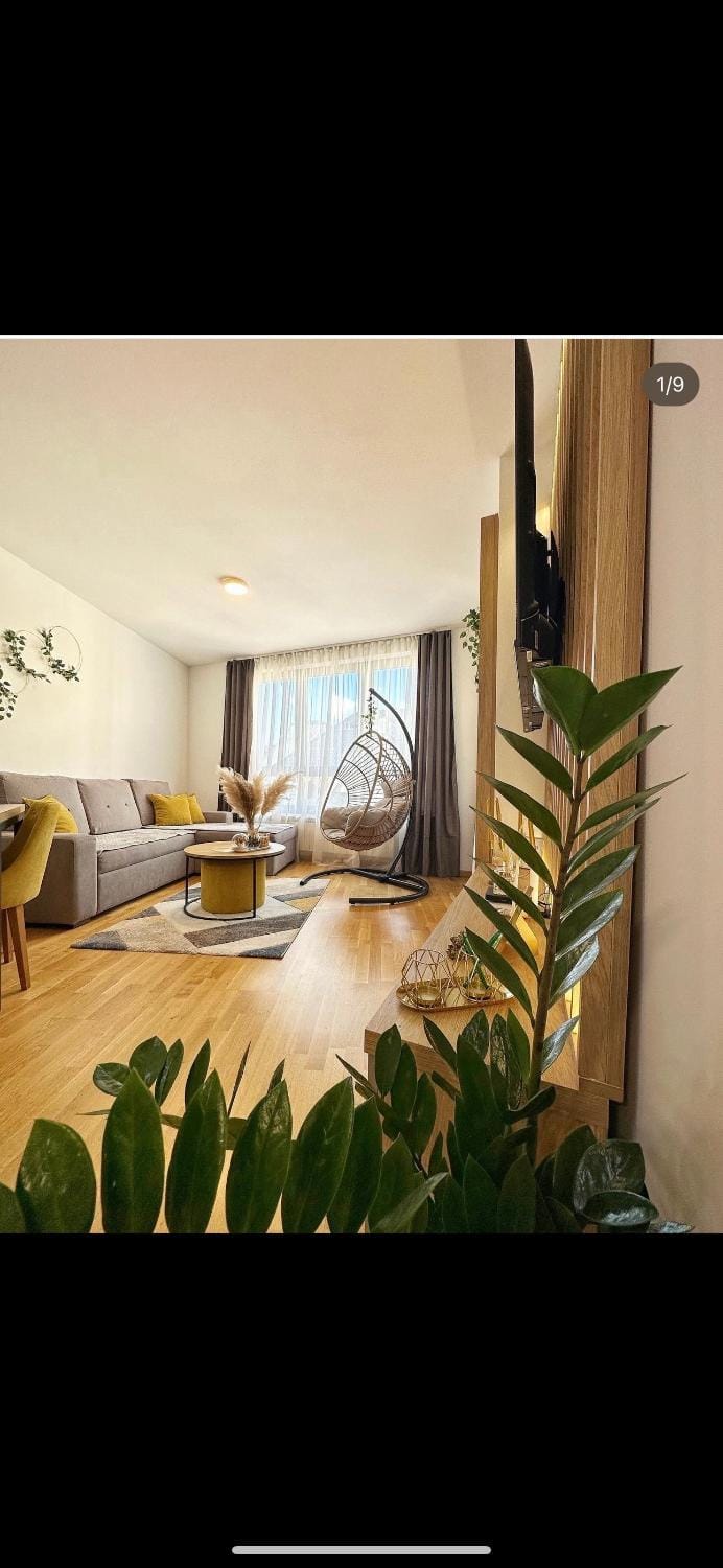 Living room, Photo of the whole room, Seating area
