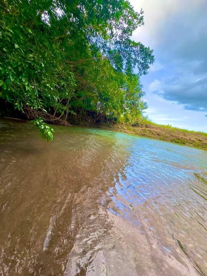 Day, River view
