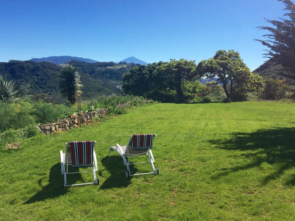 Spring, Day, Natural landscape, Garden, Garden view, Mountain view, sunbed