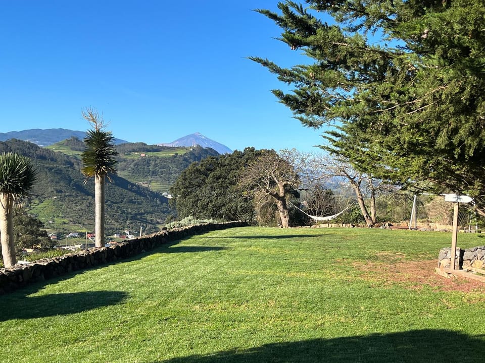 Spring, Garden, Garden view, Mountain view