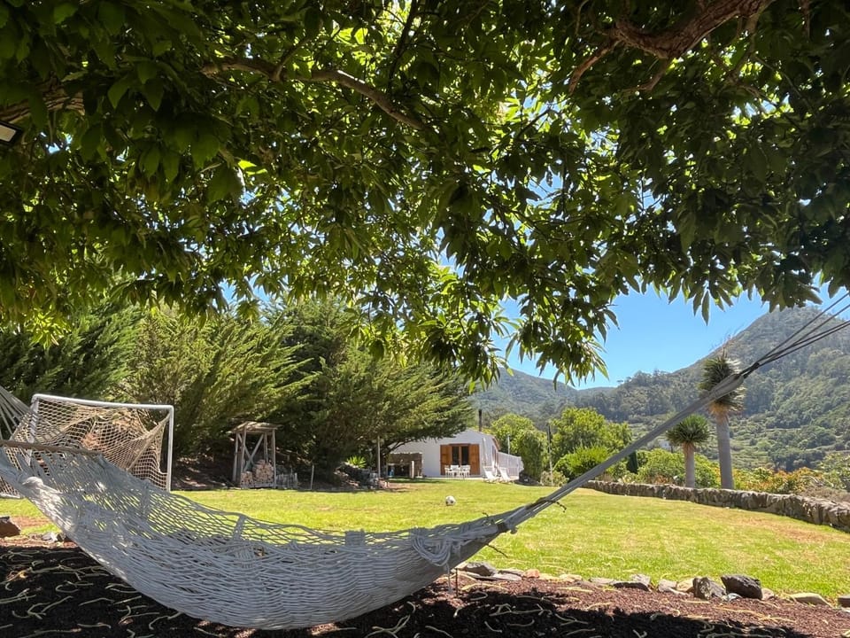 Spring, Day, Natural landscape, Garden, Garden view, Mountain view
