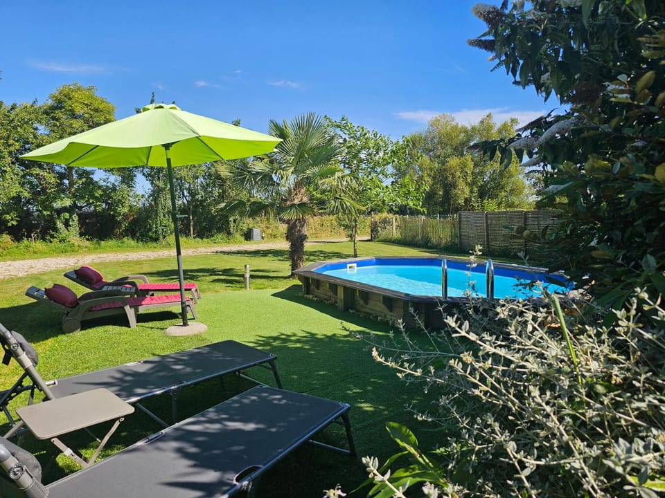Pool view, Swimming pool