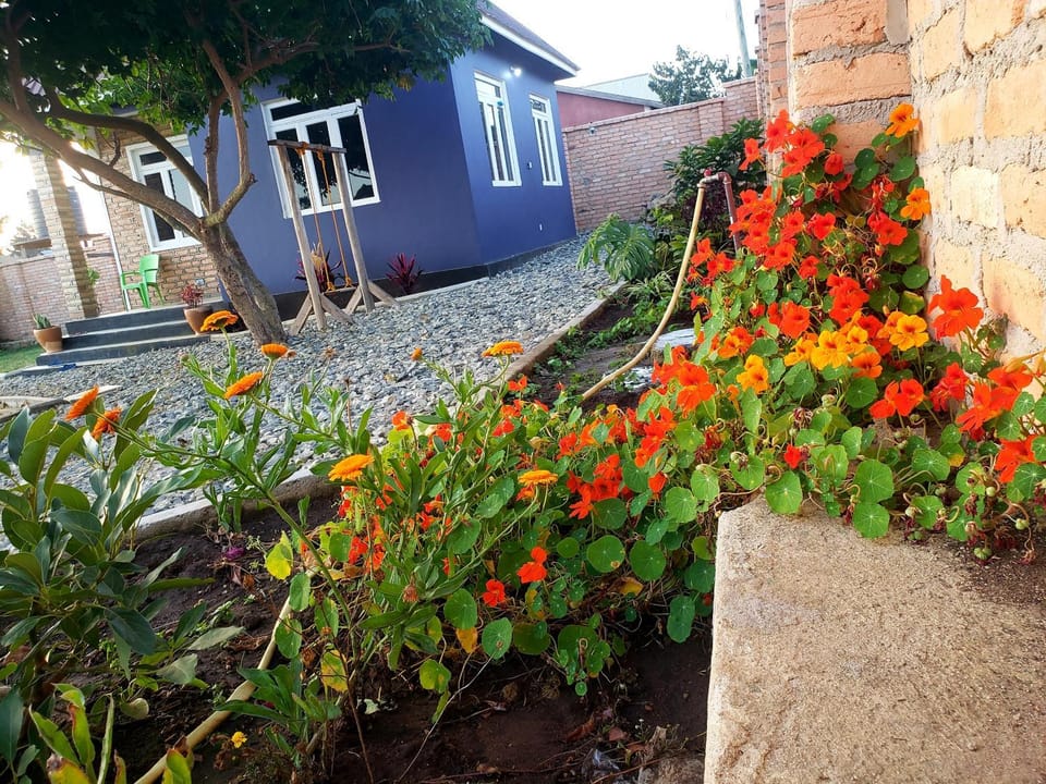 The Nest Stays House in Tanzania