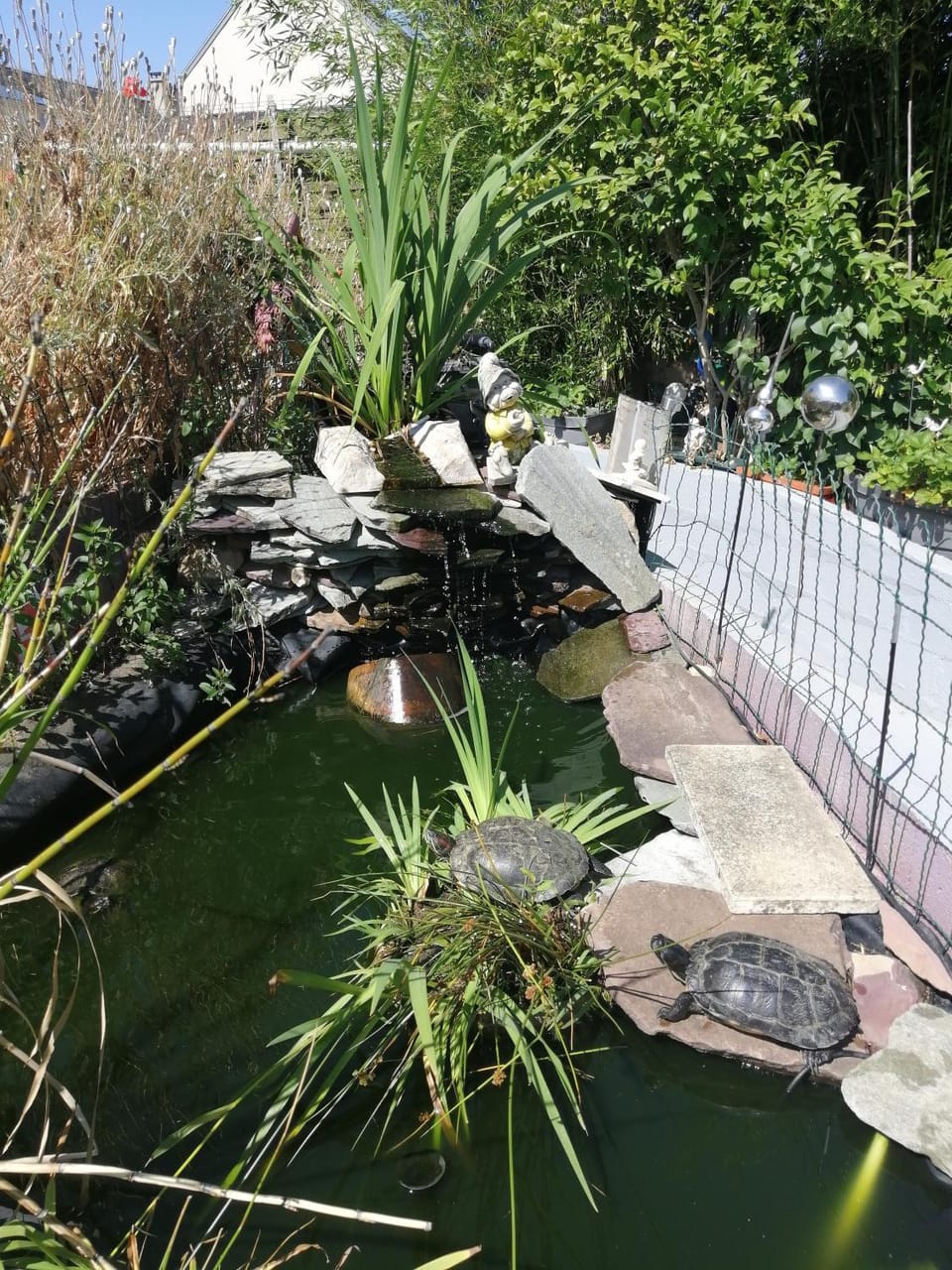 Day, Natural landscape, Garden, Garden view