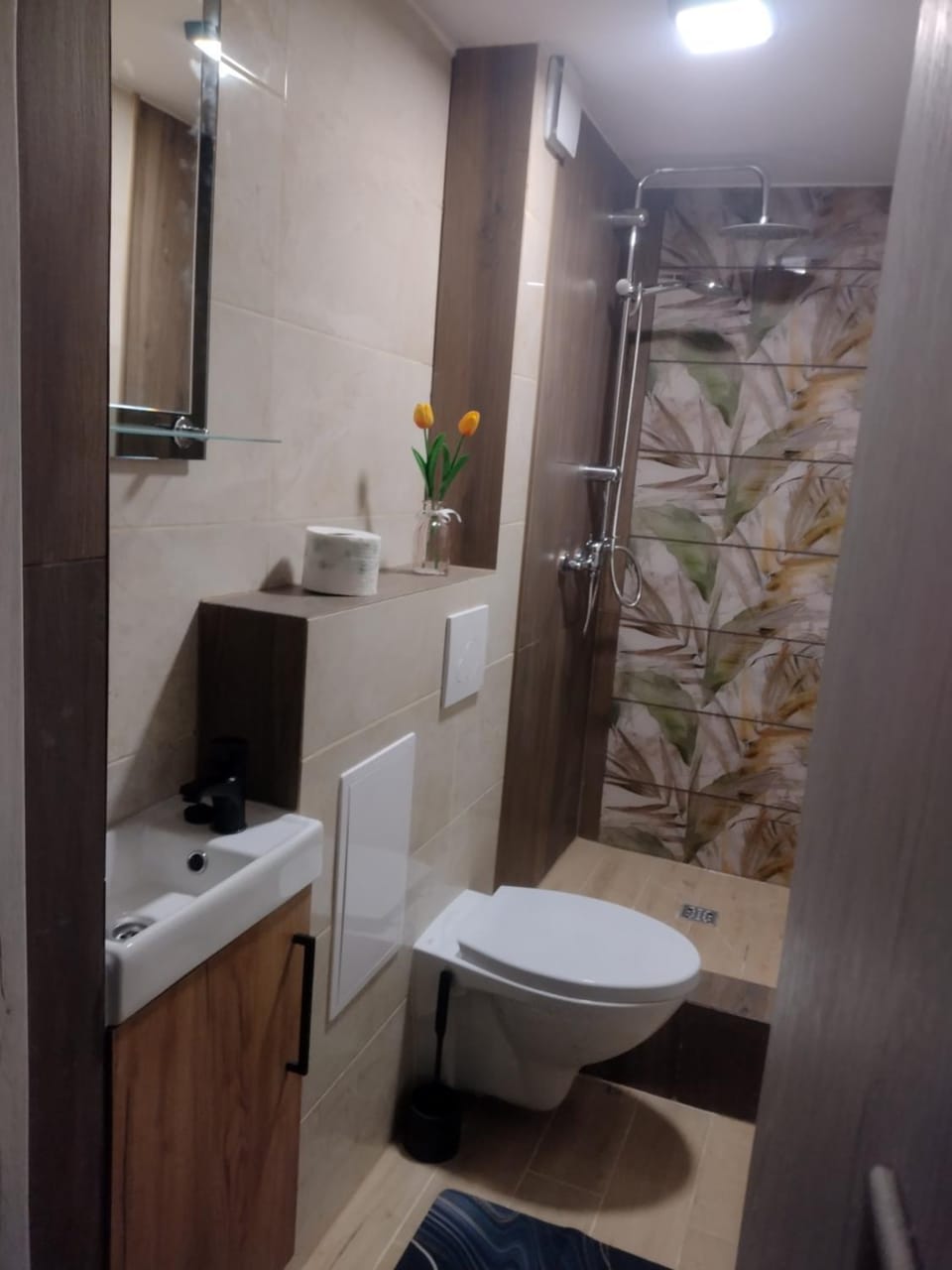 Positive energy 1 Apartment in Poland