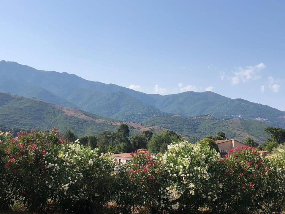 Bas de villa 80m2 2 chambres secteur Ajaccio House in Corsica