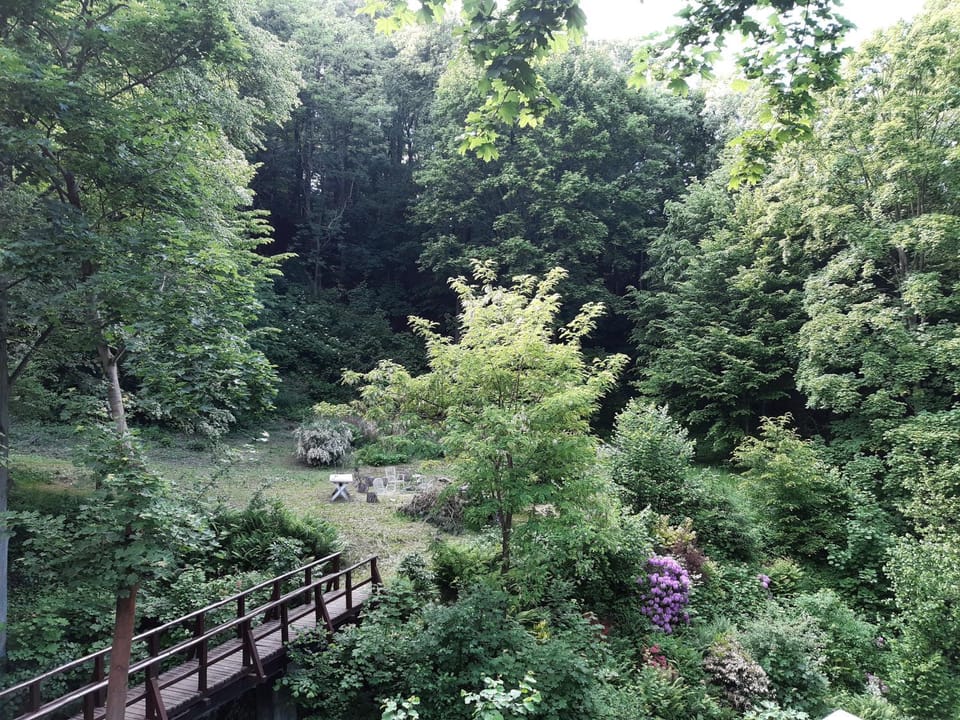 Spring, Natural landscape, Garden