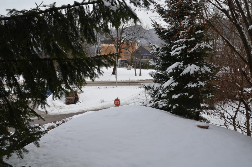 Winter, View (from property/room)