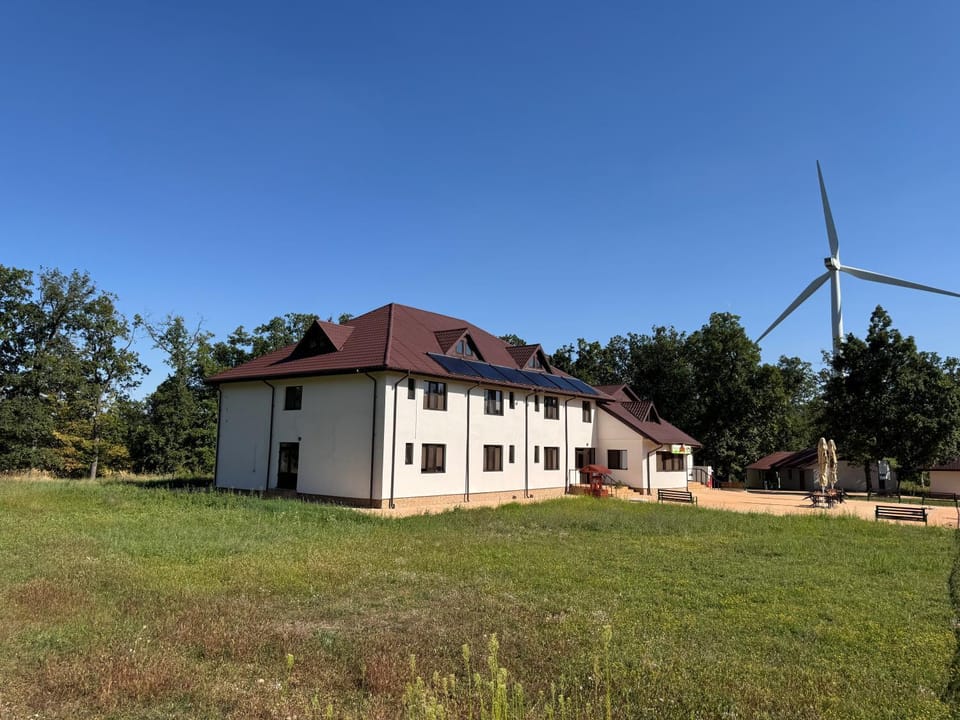Property building, Day, Garden view
