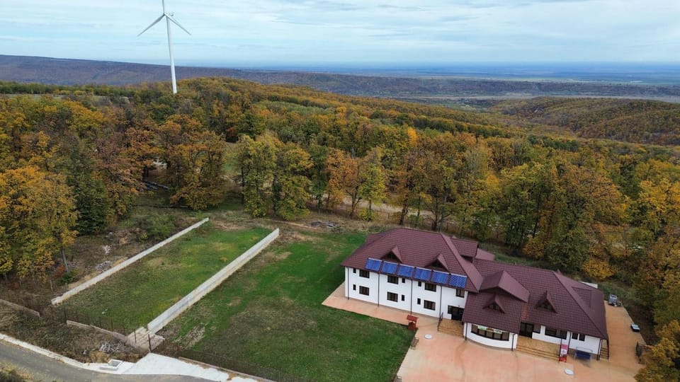Pensiunea Minerva Farm Stay in Romania