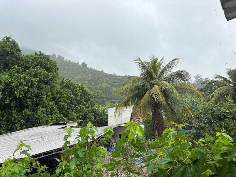 View (from property/room)