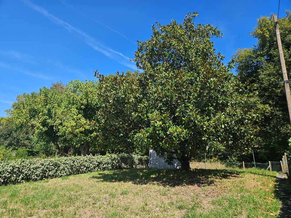 Natural landscape, Garden, Garden view