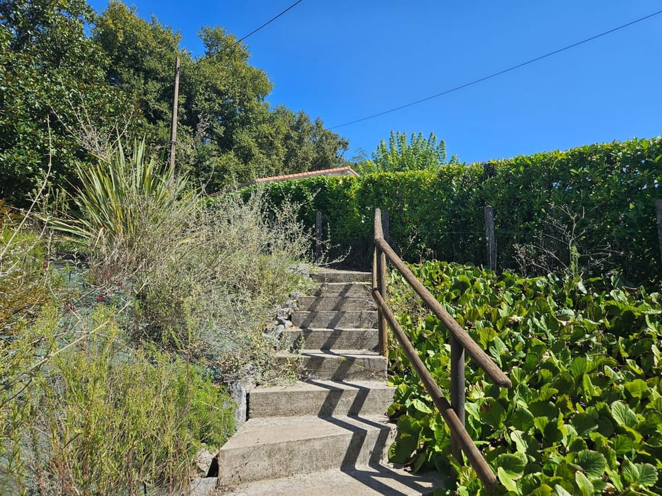 Natural landscape, Garden, Garden view