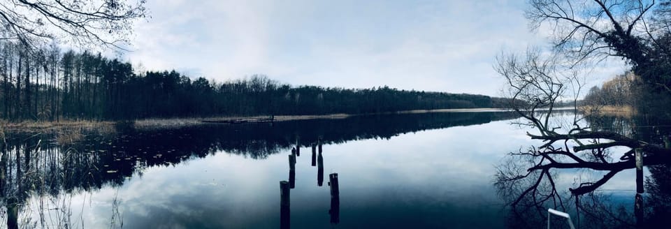 Lake view