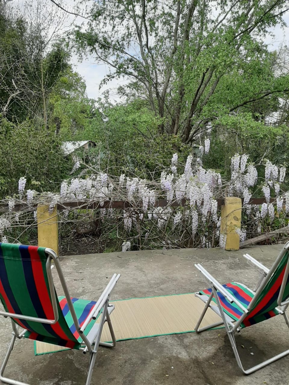 Delta Rose Farm l House in Buenos Aires Province